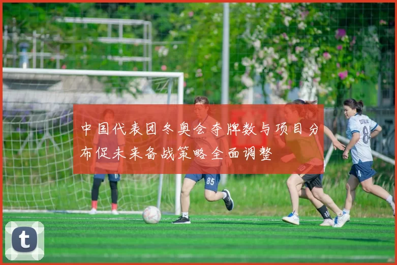 中国代表团冬奥会夺牌数与项目分布促未来备战策略全面调整