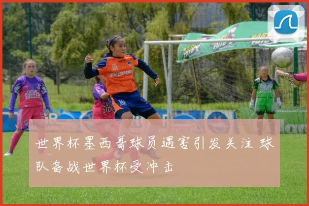 世界杯墨西哥球员遇害引发关注 球队备战世界杯受冲击