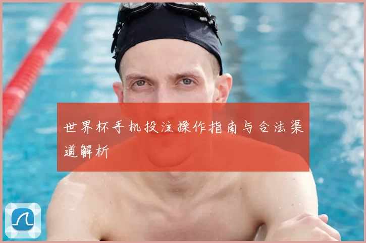 世界杯手机投注操作指南与合法渠道解析