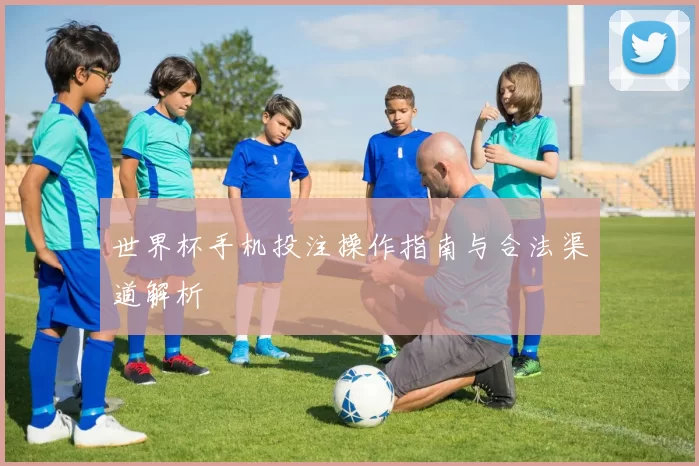 世界杯手机投注操作指南与合法渠道解析