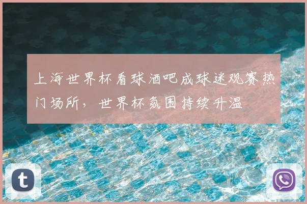 上海世界杯看球酒吧成球迷观赛热门场所,世界杯氛围持续升温