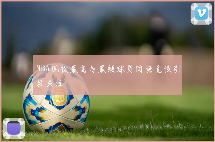 NBA现役最高与最矮球员同场竞技引发关注